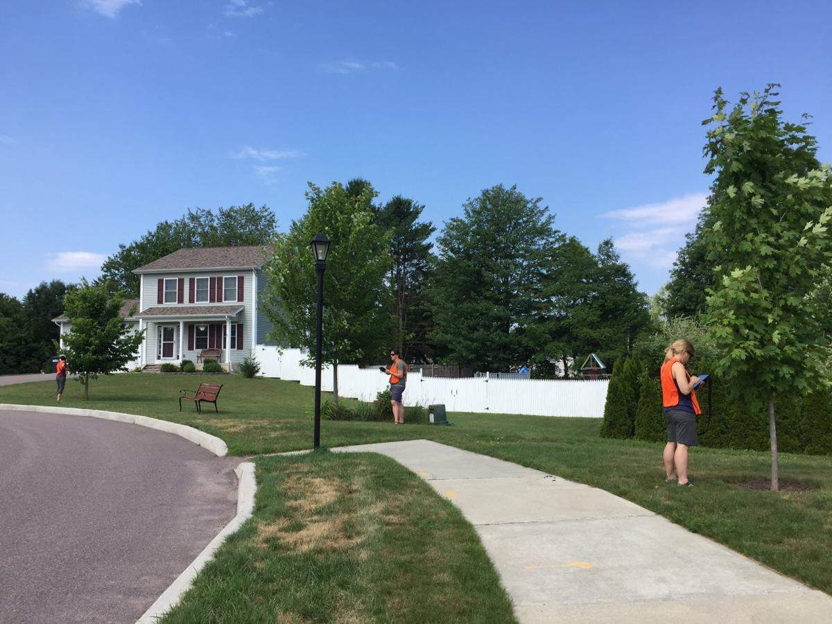 Urban Forestry Management Plans Vermont Urban & Community Forestry